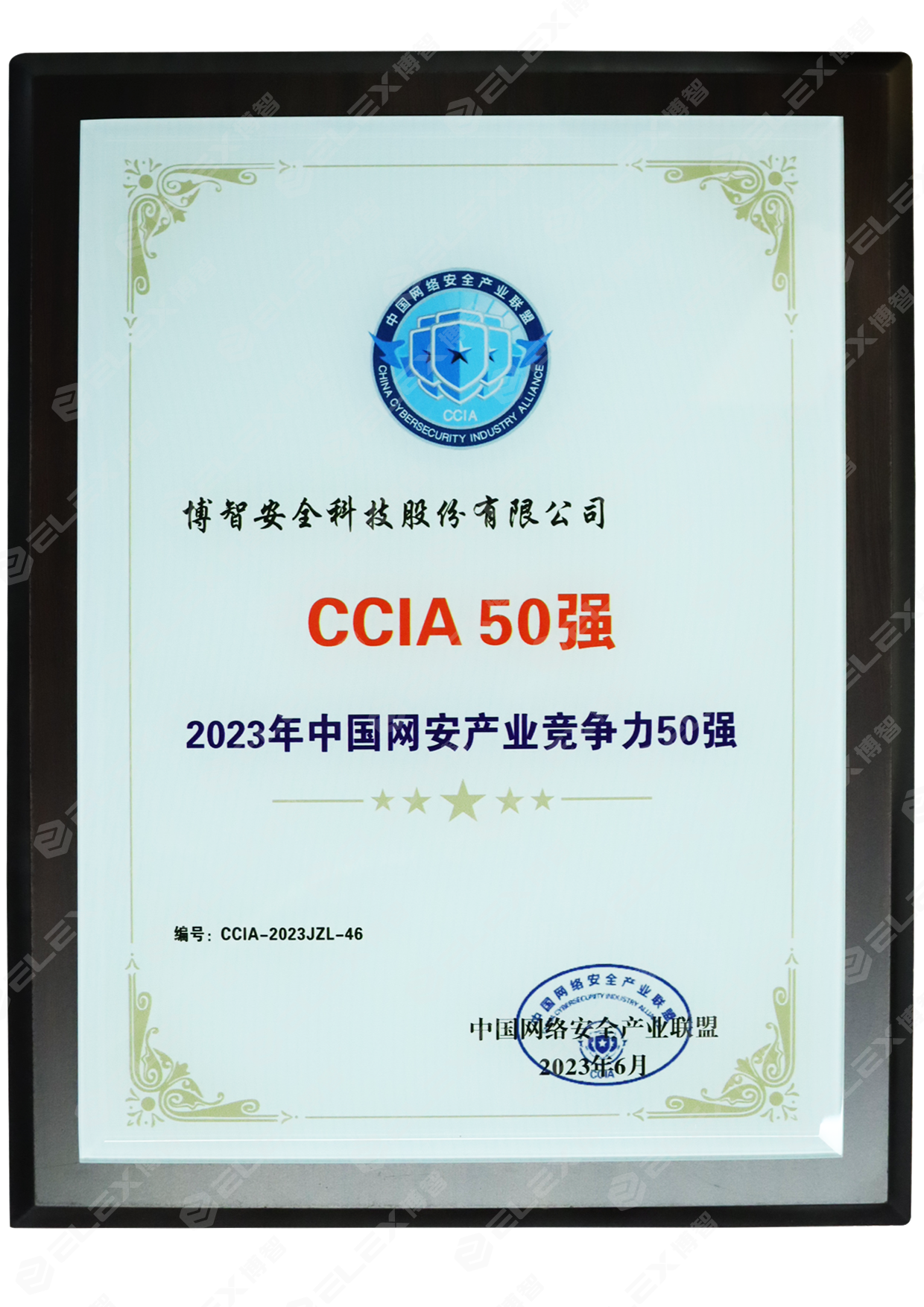 2023年中国网安产业竞争力50强